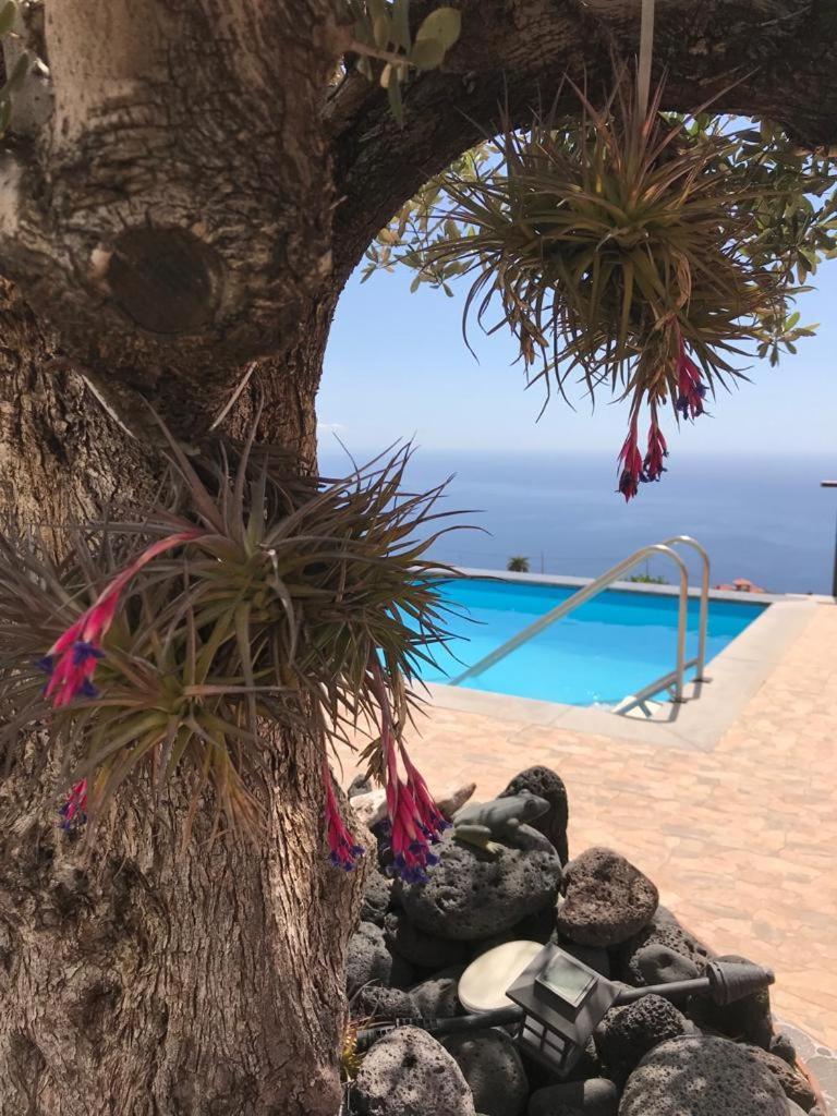 Hrlos Piratas - Ferien Haus La Palma - Good Wlan !! Тихарафе Екстериор снимка